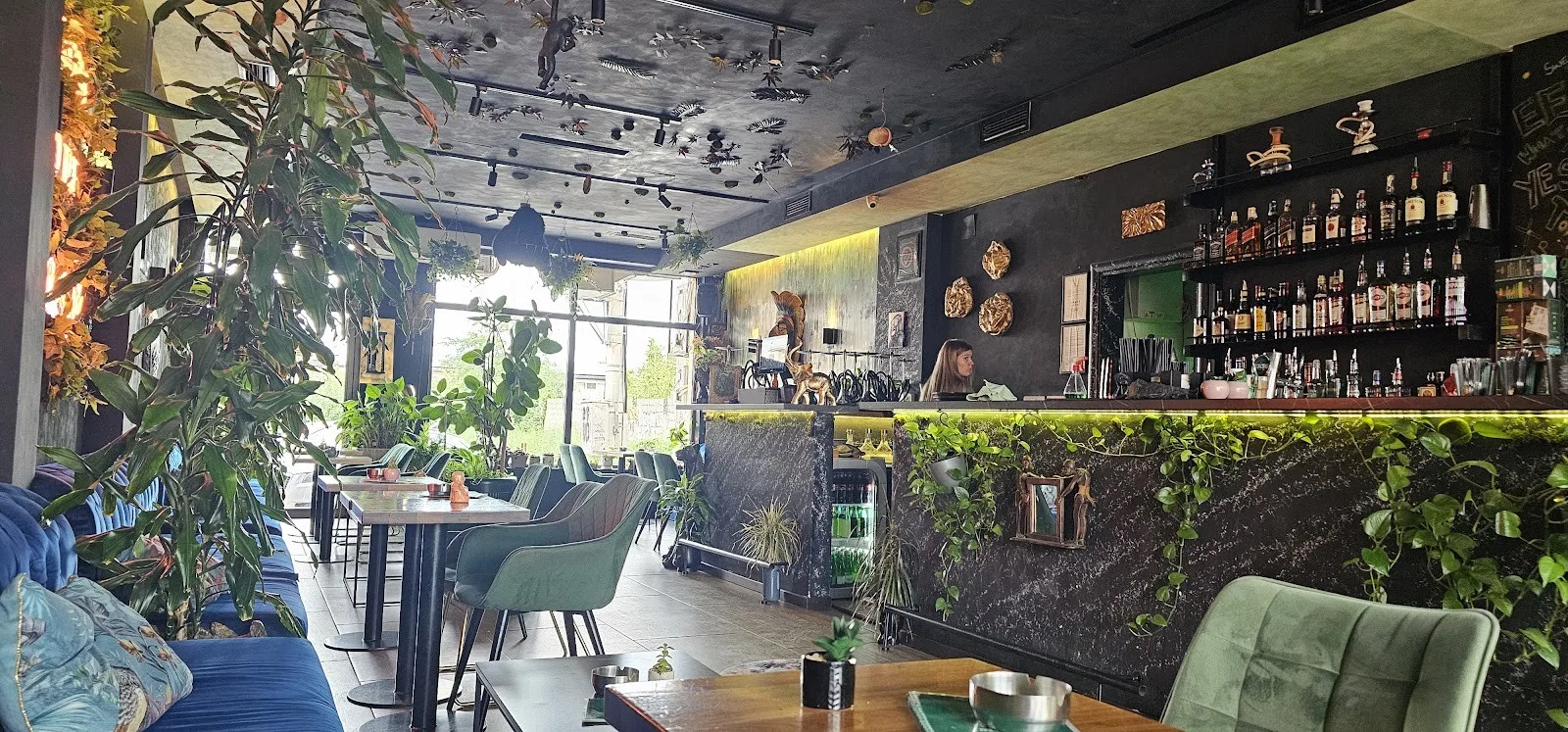 Jungle Bar (Džungla Bar) - 1
