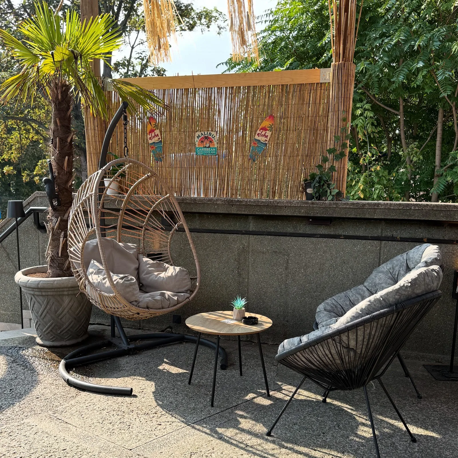 ZONA shisha bar - 4